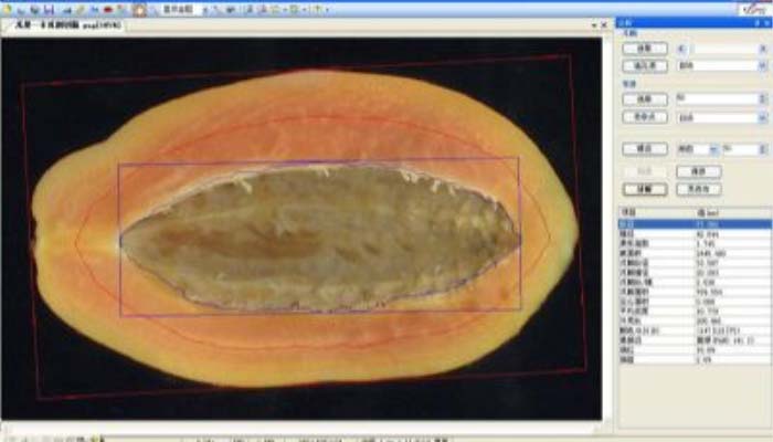LA-S瓜果剖切面、瓤色圖像分析儀