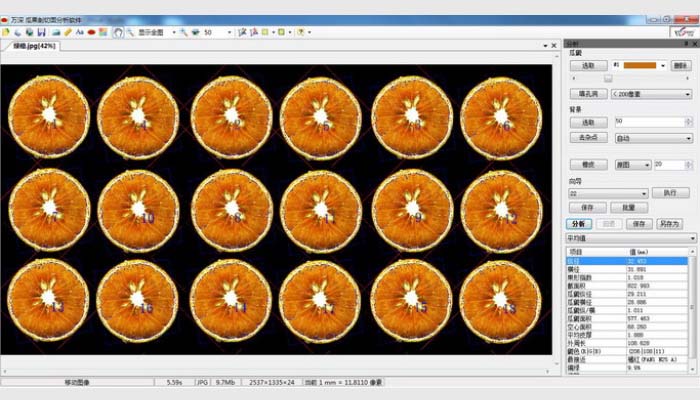 LA-S植物圖像分析儀系統(tǒng)(葉面積+瓜果剖切面分析組合版)