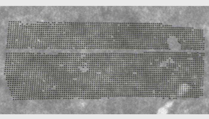 LC系列高精度芯片計數儀