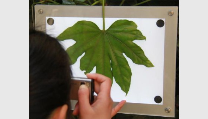 LA-S葉面積分析儀系統(tǒng)(高拍儀款),葉面積儀,葉面積測(cè)量?jī)x,葉面積測(cè)定儀,便攜式活體葉面積儀