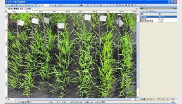 LA-S系列多用途葉面積儀(葉面積、病斑、蟲損、冠層分析、葉色分檔分析)