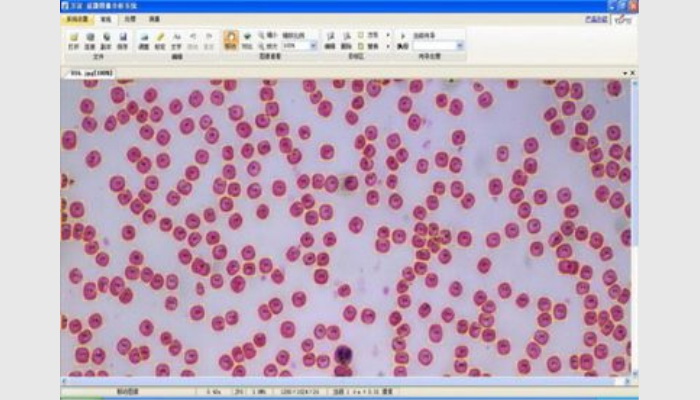MIA-V生物顯微圖像分析儀系統,細胞計數分析儀