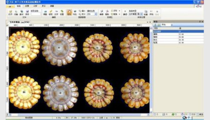 SC-G玉米自動考種分析及千粒重儀系統,玉米考種儀,玉米考種系統,自動考種儀,自動考種分析儀