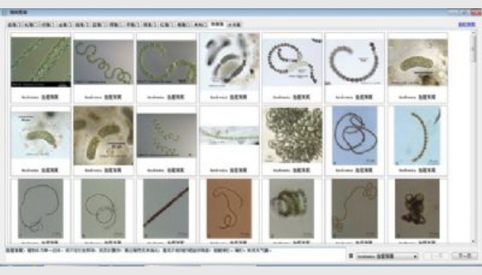 AlgaeC型浮游生物（藻類、浮游動物）智能鑒定計數儀