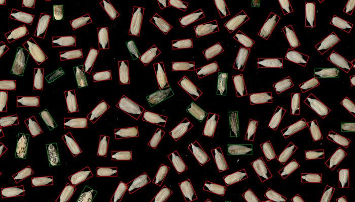 SC-M型Ai智能籽粒外觀品質分類識別檢測儀