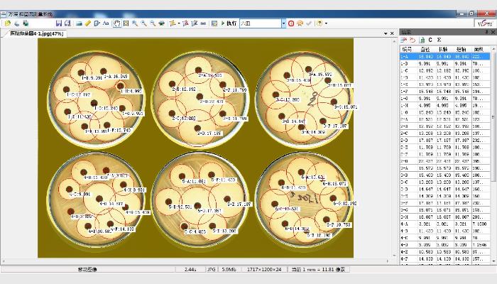 HiCC-T全自動抑菌圈測量儀,抑菌圈測定儀,抗生素效價測定儀,藥敏分析儀