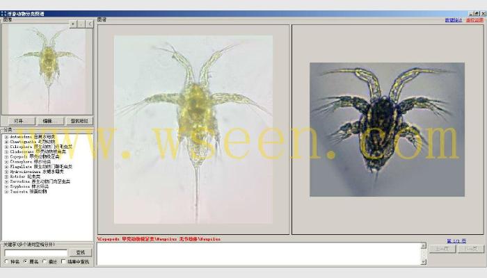 AlgaeC浮游生物計數分析智能鑒定系統(浮游動物鑒定模塊)