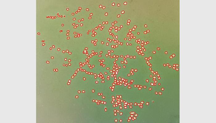 SC-B2型多功能魚卵貝苗自動計數儀