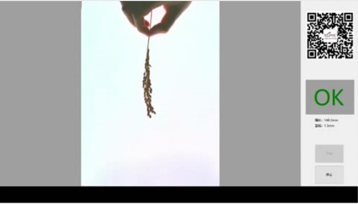 SC-K型水稻麥穗穗長-莖粗-莖葉角自動測量儀