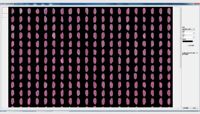 萬(wàn)深SC-P型大米加工精度檢測(cè)儀,大米留皮度檢測(cè)儀