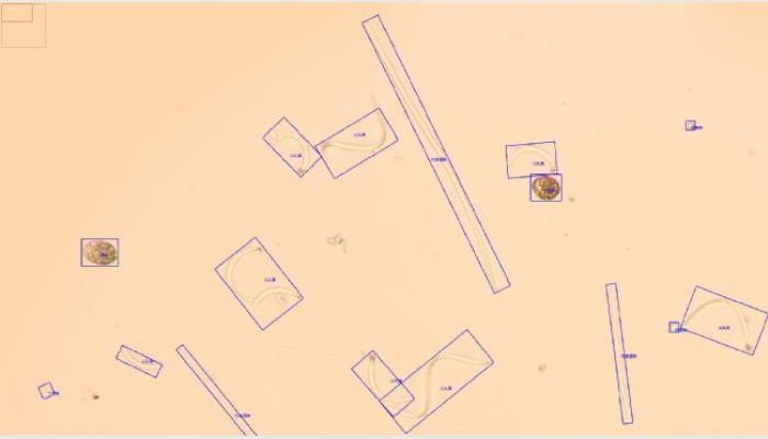 AlgaeAC-F1藻類自動分類計數(shù)儀,藻密度自動檢測儀,藻類分析儀,藻類計數(shù)儀,藻類鑒定儀