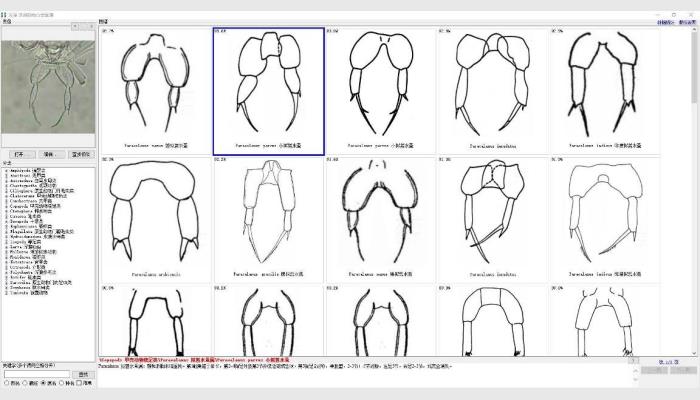 AlgaeC型浮游生物智能鑒定計數儀,藻類分析儀,藻類計數儀