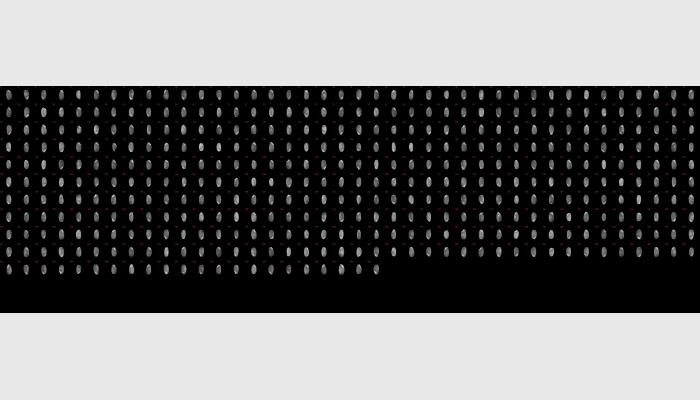 SC-E大米外觀品質(zhì)檢測(cè)儀,稻米品質(zhì)分析儀,米質(zhì)判定儀